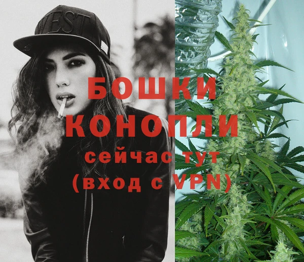 спиды Каменногорск