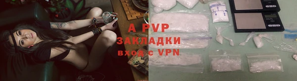 скорость Каменка