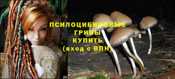 спиды Каменногорск