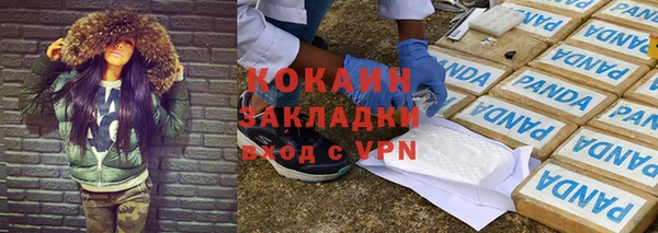 спиды Каменногорск