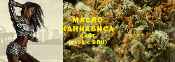 скорость Каменка