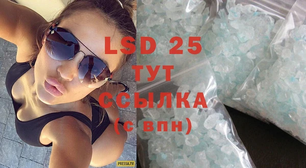 спиды Каменногорск